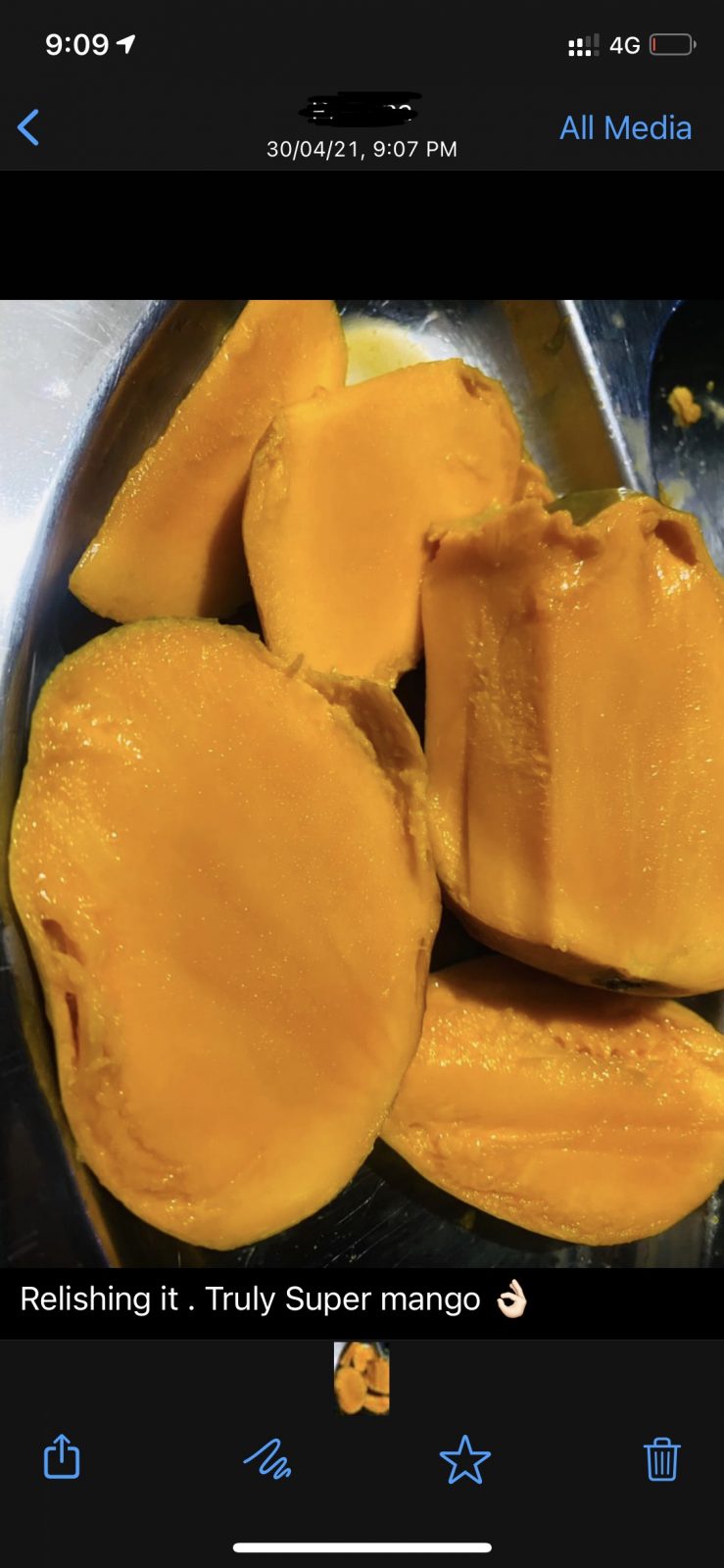 WhatsApp review — truly Sooper Mango