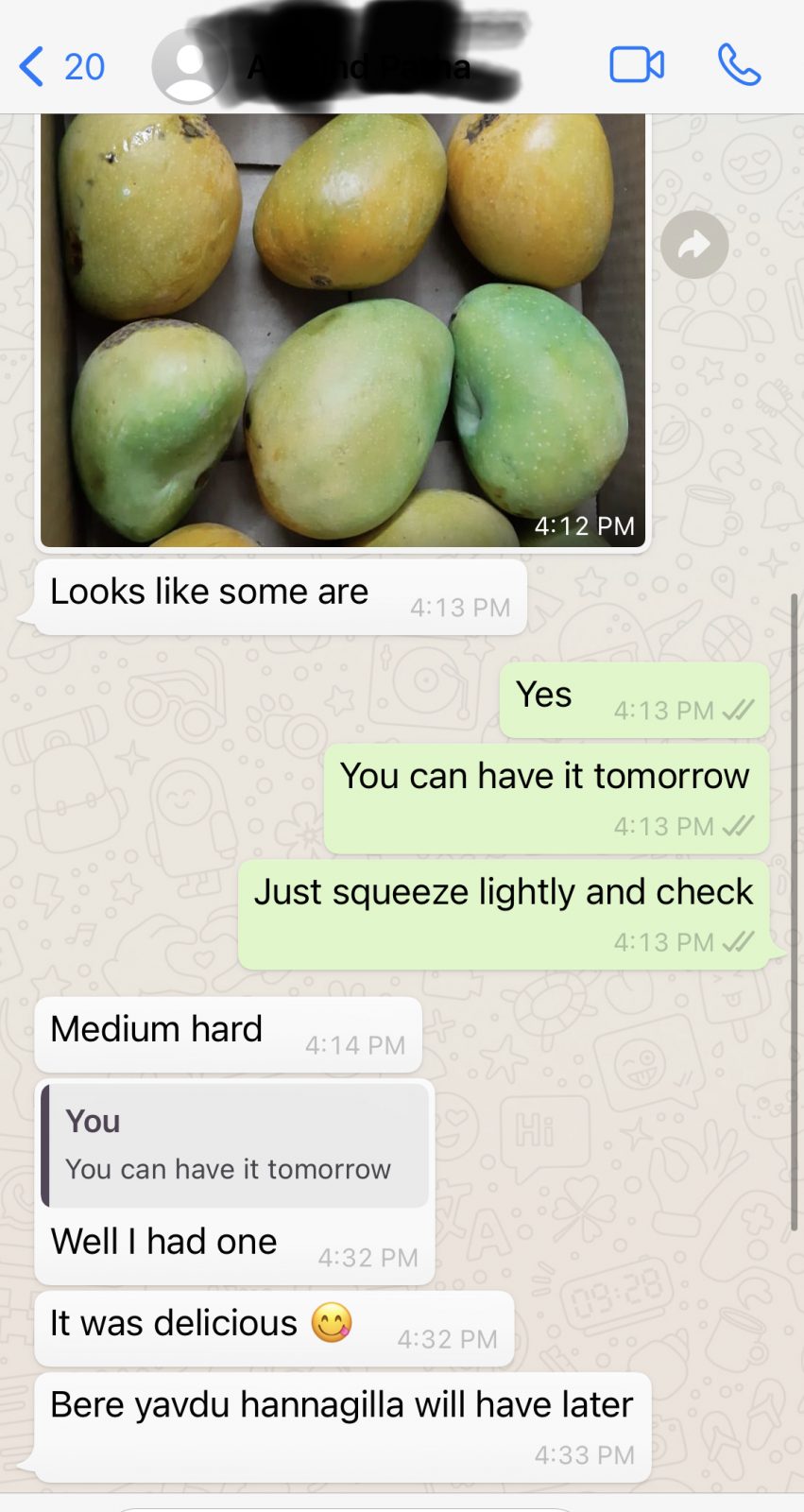 WhatsApp review — delicious SooperMango delivery