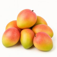 Fresh Alphonso mangoes from SooperMango orchard